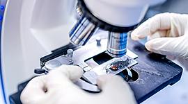 Timeline: Avances en la medicina