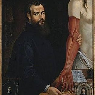 Revolución anatómica (ANDREAS VERSALIO)