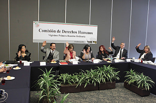 Comisión de Derechos Humanos del Senado.