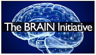 Proyecto Brain (HENRY MAKRAM)