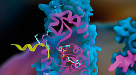 Timeline: Historia de la Enzimología