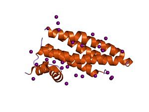 J.M. Nelson y E.G. Griffin