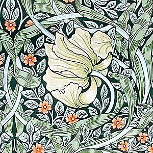 Arts&Crafts WILLIAM MORRIS