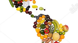 Timeline: Nutrición y dietética en América Latina