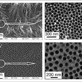 ADSORCIÓN DE INVERTASA EN CARBÓN Y ALUMINA