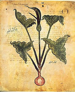 Libro “Historia de las plantas”
