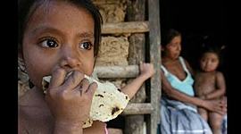 Timeline: políticas sociales en México en los gobiernos comprendidos entre 1940 y 2000