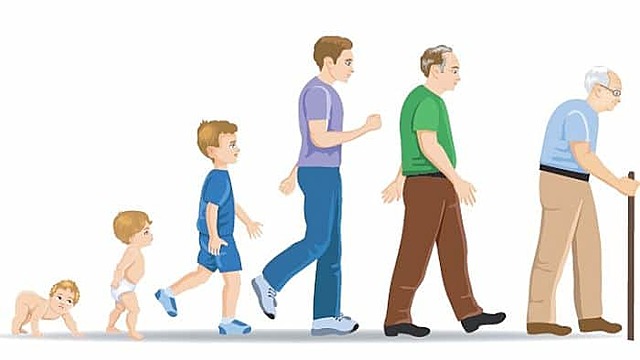 Psicología evolutiva o del desarrollo