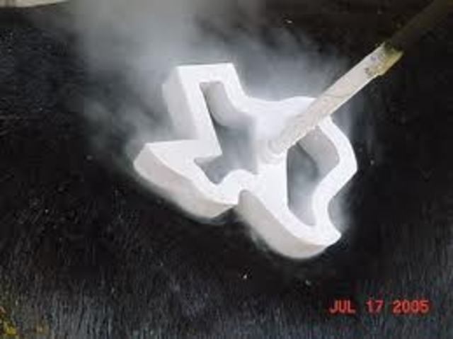 Isabella gets branded