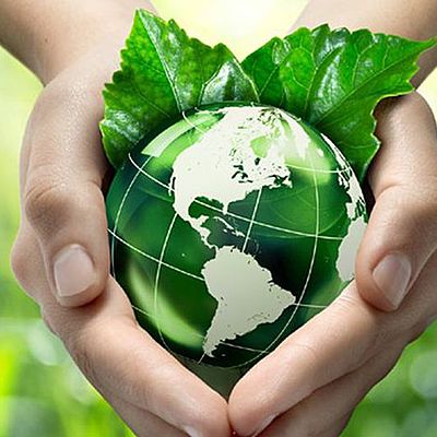 Timeline: Desarrollo sustentable