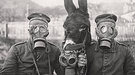 Timeline: PRIMERA GUERRA MUNDIAL