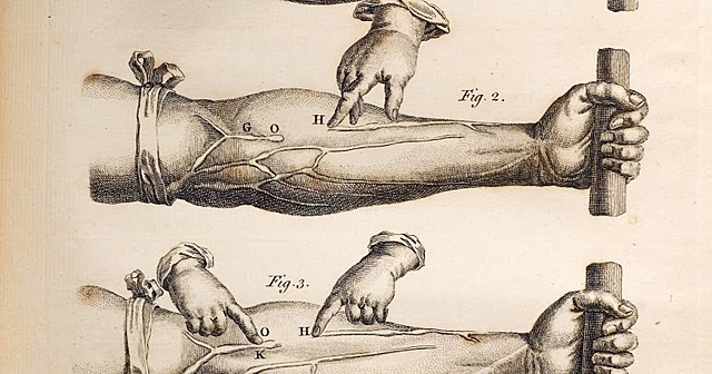 Descubrimiento de la circulación sanguínea