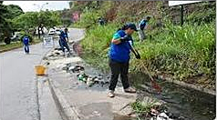 Salud y saneamiento ambiental. Articulo 49.