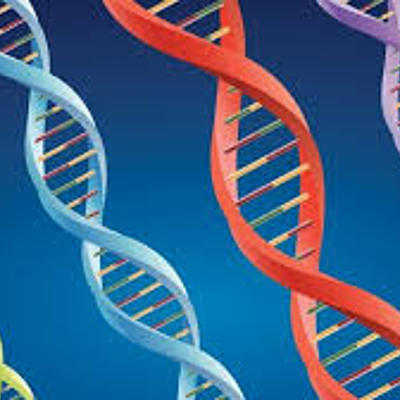 Timeline: Avances en el conocimiento del ADN