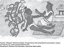 descartan los textos escritos por rogelio de palermo