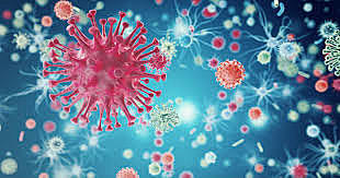 	En el siglo XVIII, se popularizó la llamada doctrina contagium animatum, contagium vivum o exanthemata viva.