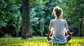 Timeline: Línea de tiempo terapias naturales y medicinas alternativas