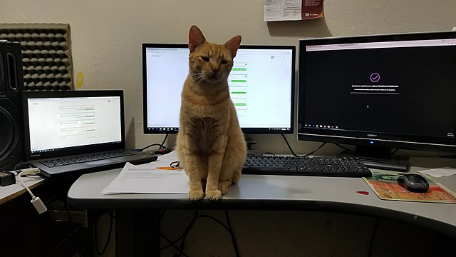 Emprendiendo nuevamente, pensando en el futuro