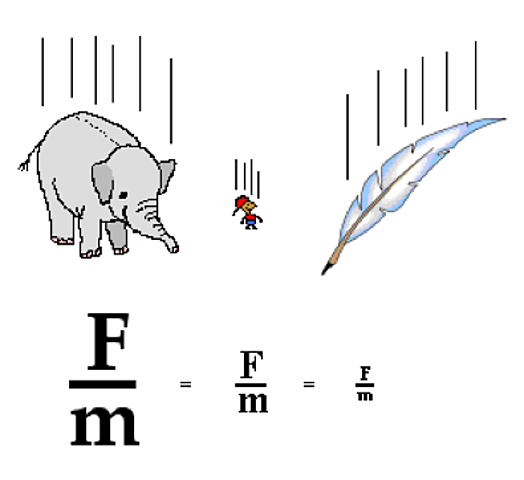La ley de los cuerpos que caen.