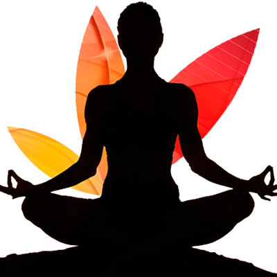 Timeline: Linea del tiempo Terapias Naturales