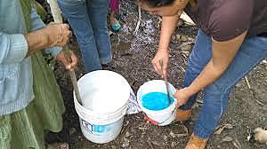 Primer fungicida agricola