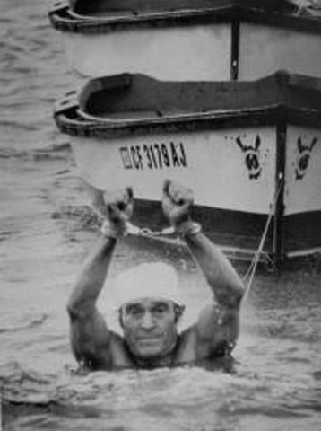 The 13 colonies swim!