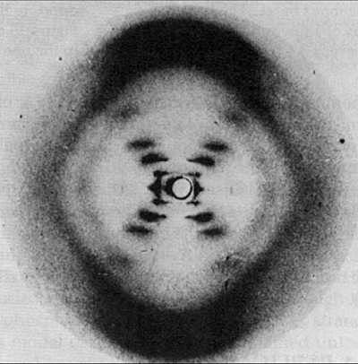 Rosalind Franklin fotografía el ADN con rayos X.