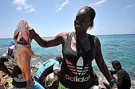 diversidad en colombia 1994