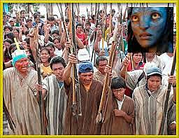 diversidad en colombia 1998