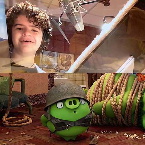 Gaten Matarazzo timeline | Timetoast timelines