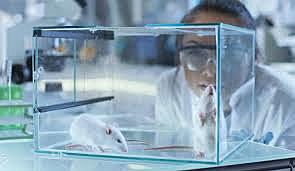 Investigación del Cáncer por parte de Harvard