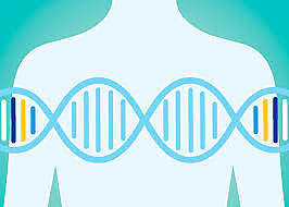 Cáncer de mama y de ovario