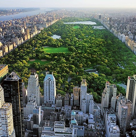 Central Park