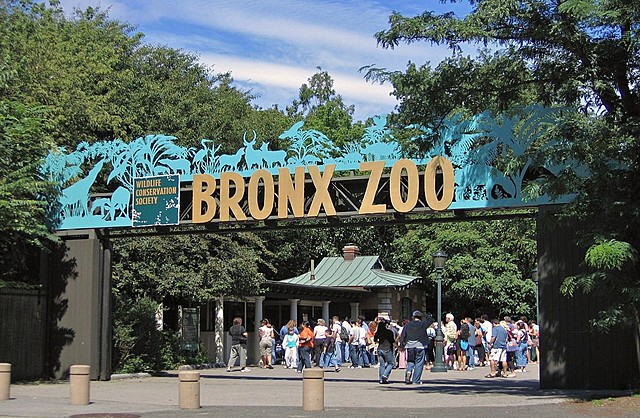 New York Zoo
