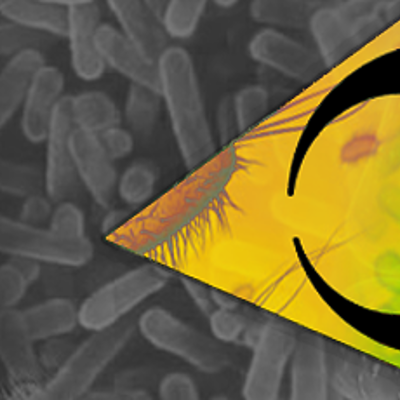 Timeline: Historia de la toxicología