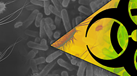 Timeline: Historia de la toxicología