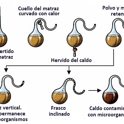 Timeline: Biogénesis y Generación Espontanea