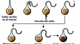 Timeline: Biogénesis y Generación Espontanea