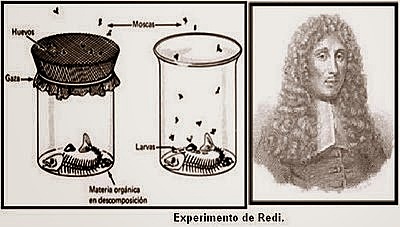 Francesco Redi Biogénesis