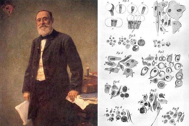 Rodolf Virchow Biogénesis