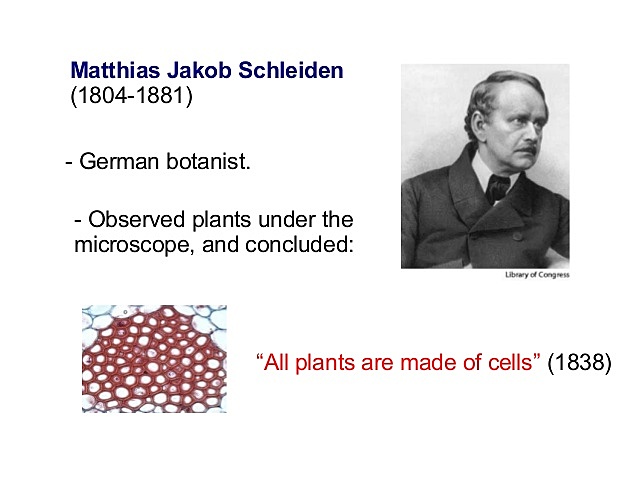 Matthias Jakob Schleiden Biogénesis