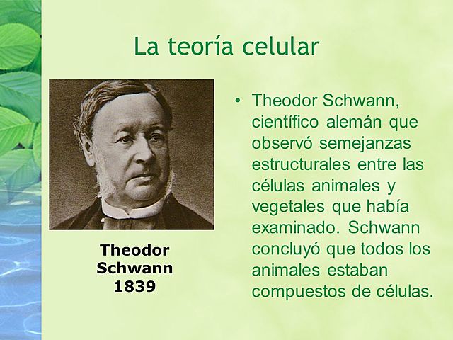 Theodor Schwann Biogénesis