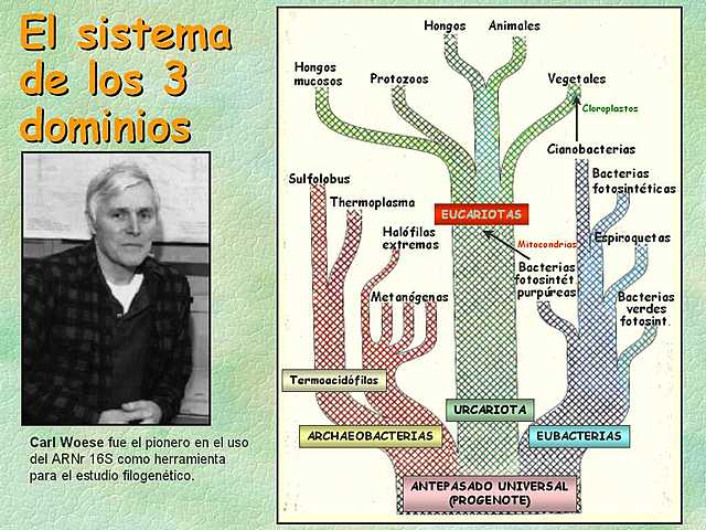 Carl Woese Biogénesis