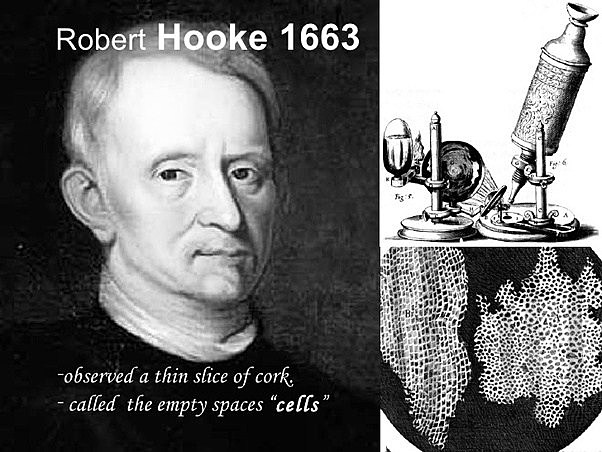 Robert Hooke Biogénesis
