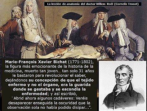 Xavier Bichat Biogénesis