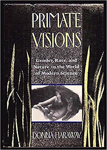 Primate Visions