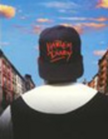 Harlem Diary: Nine Voices of Resilience