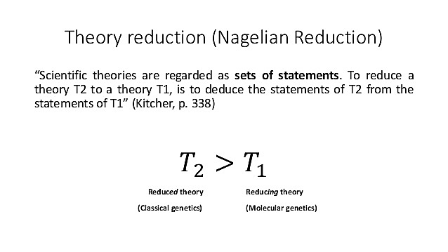 Nagelain models of reduction