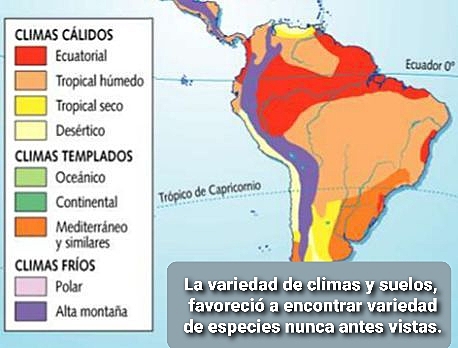Consecuencias del Descubrimiento de América: demográficas y Científicas.