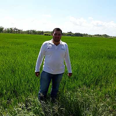 Timeline: historia de la Fitopatología